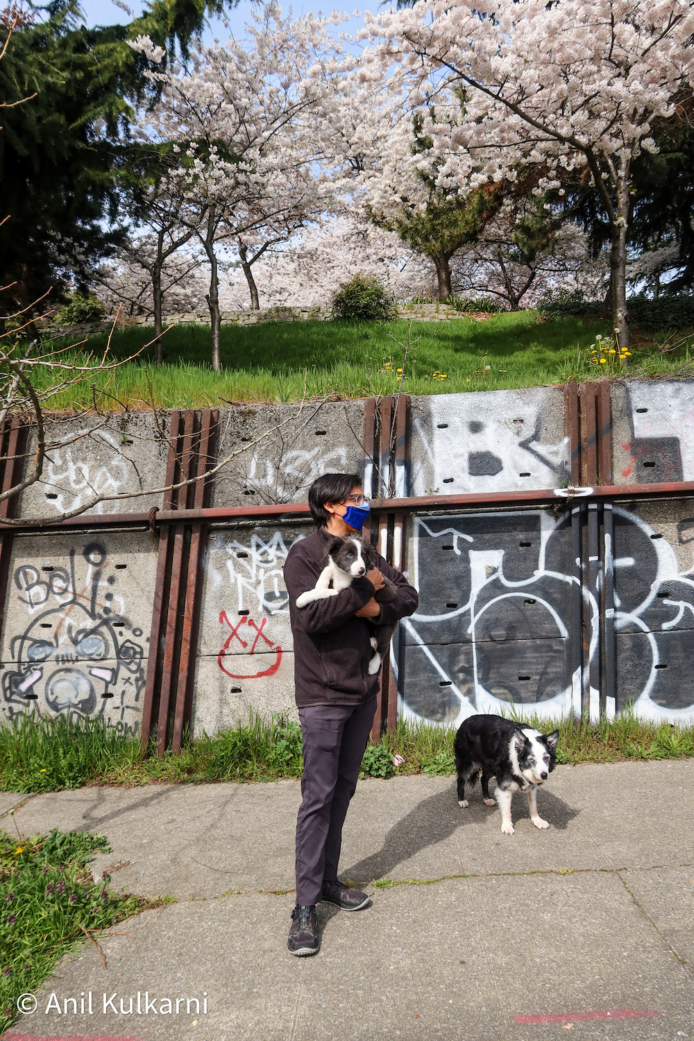 Person and a dog in front of a graffiti wall